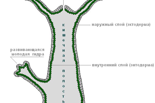 Кракен новый сайт