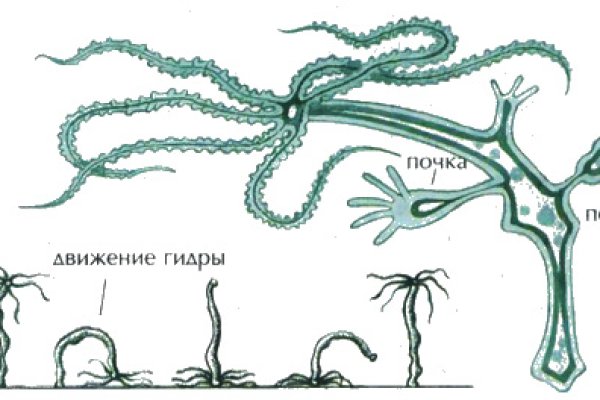 Kraken найдется все