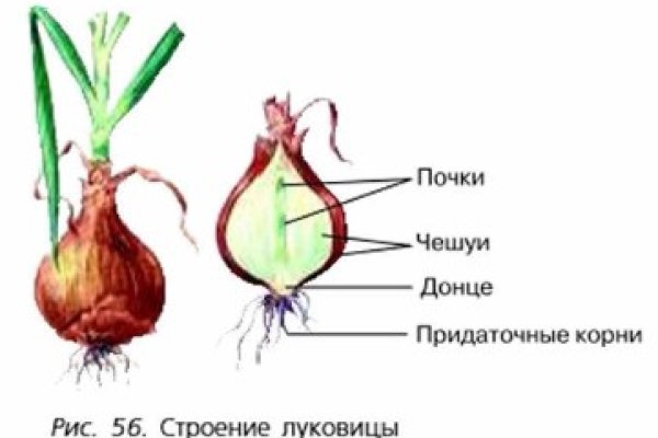 Кракен как войти через тор